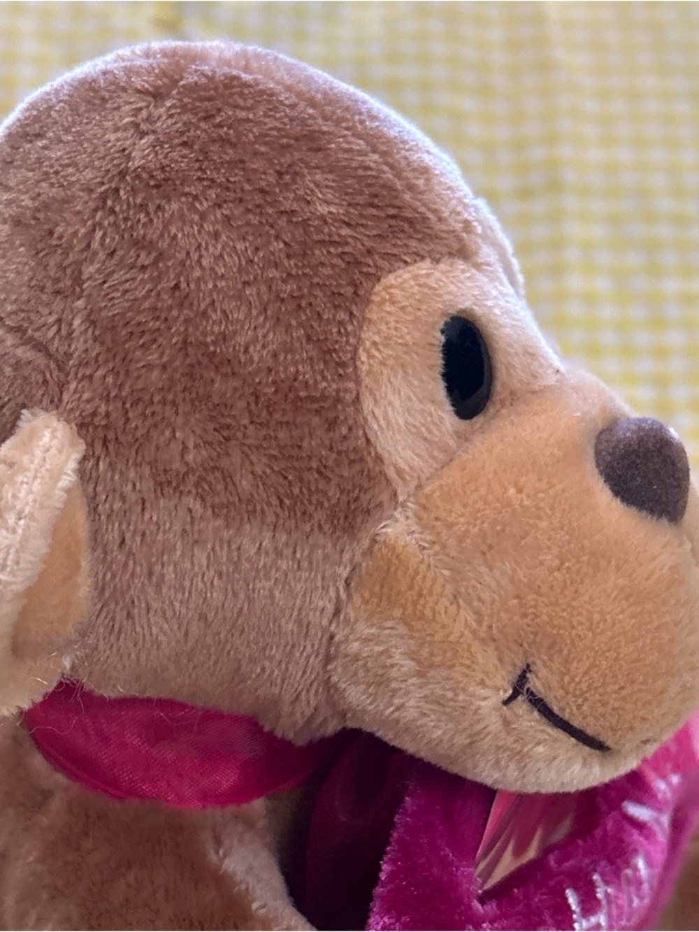 Plush Brown Monkey 'Hug Me' Stuffed Animal - Pink Heart Accessory pic frame - Picture 15 of 16